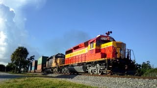 FEC Train 210 #981