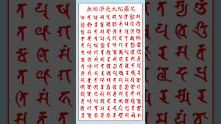 010無垢淨光大陀羅尼Amitayusasya Tathagata dharani