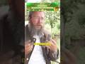 Выгодно вначале иметь здоровье, а уже потом деньги (с) Герман Стерлигов