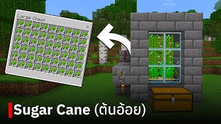 สอนสร้างฟาร์ม Sugar Cane (ขนาดเล็ก) ใน Minecraft Bedrock Edition 1.19