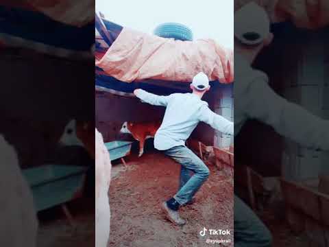Haydi bakam oynama zamanı
