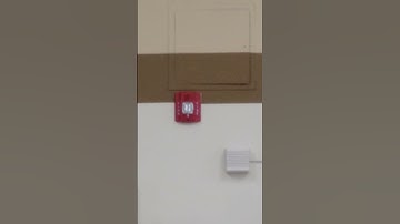 System Sensor Spectralert Advance P2R Horn Strobe