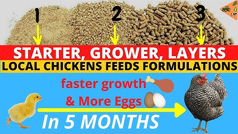 POULTRY CHICKEN FEEDS FORMULATIONS (Starter, Grower, Layers)| Grow faster & Lay MORE EGGS 🥚