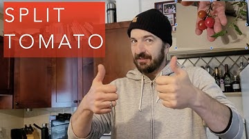 Overwintered Tomatoes - March update & split tomatoes