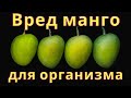 Вред манго для организма