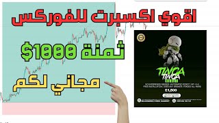 اقوي اكسبرت فوركس مدفوع ثمنة 1000$ مجاني لكم ....!