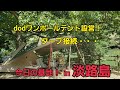 dodワンポールテント設営、タープ接続・・・今日の基地！in淡路島