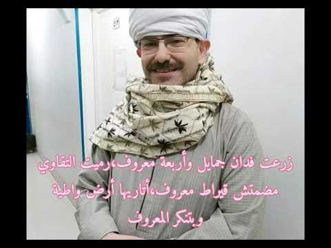 أمثال شعبية صعيدية كبرت يا عبد الرحمن يامنة شعر عبد الرحمن الأبنودي