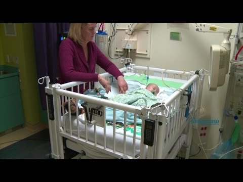 გულის მანკი - გამომწვევი მიზეზები და მკურნალობის მეთოდები