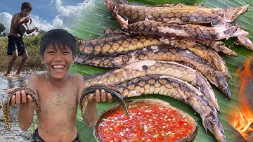 Decko streams, chapter: Primitive Foodie KH #032 Catching and Cooking Spiny Tire Track Eel for food