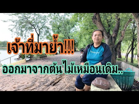 ผลสลากกินแบ่งรัฐบาล วันที่ 1 พย. 2567 ผลสลากกินแบ่งรัฐบาล วันที่ 1 พย. 2567