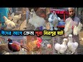 ক্রেতা কম থাকায় কমে গেছে মুরগির দাম | Mirpur-1 Chicken Hat | Fancy Chicken Price in Bangladesh