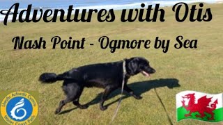 Part 20: Wales Coast Path with Otis - Nash Point to Ogmore by Sea via Dunraven Bay and castle
