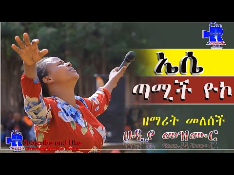 ቪዲዮ: ኤሴ ሃርድዌር መለዋወጫ ቁልፎችን ይሠራል?