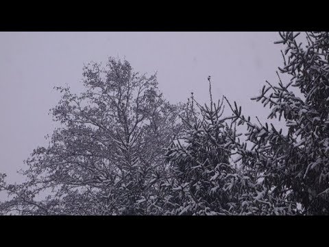 Farm update #12 February - YouTube
