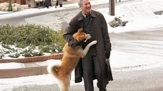 REENCUENTROS ENTRE PERROS Y HUMANOS QUE TE ALEGRARAN MUCHO EL CORAZON ❤