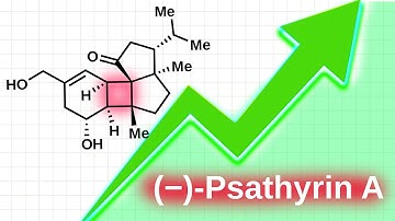 Take Your Organic Synthesis To The Next Level: Total Synthesis Of (−)-Psathyrin A (3D Visualization)