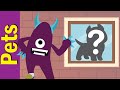 What's in the Window Quiz