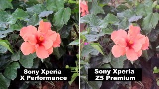 Sony Xperia X Performance Vs Sony Xperia Z5 Premium Camera Review Snaps Test Photos