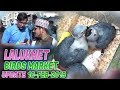 Lalukhet Sunday birds Market 10-2-2019 Latest Updates (Jamshed Asmi Informative Channel)  Urdu/Hindi