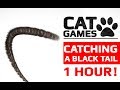 Cat games   catching a black tail 1 hour version entertainment for cats to watch