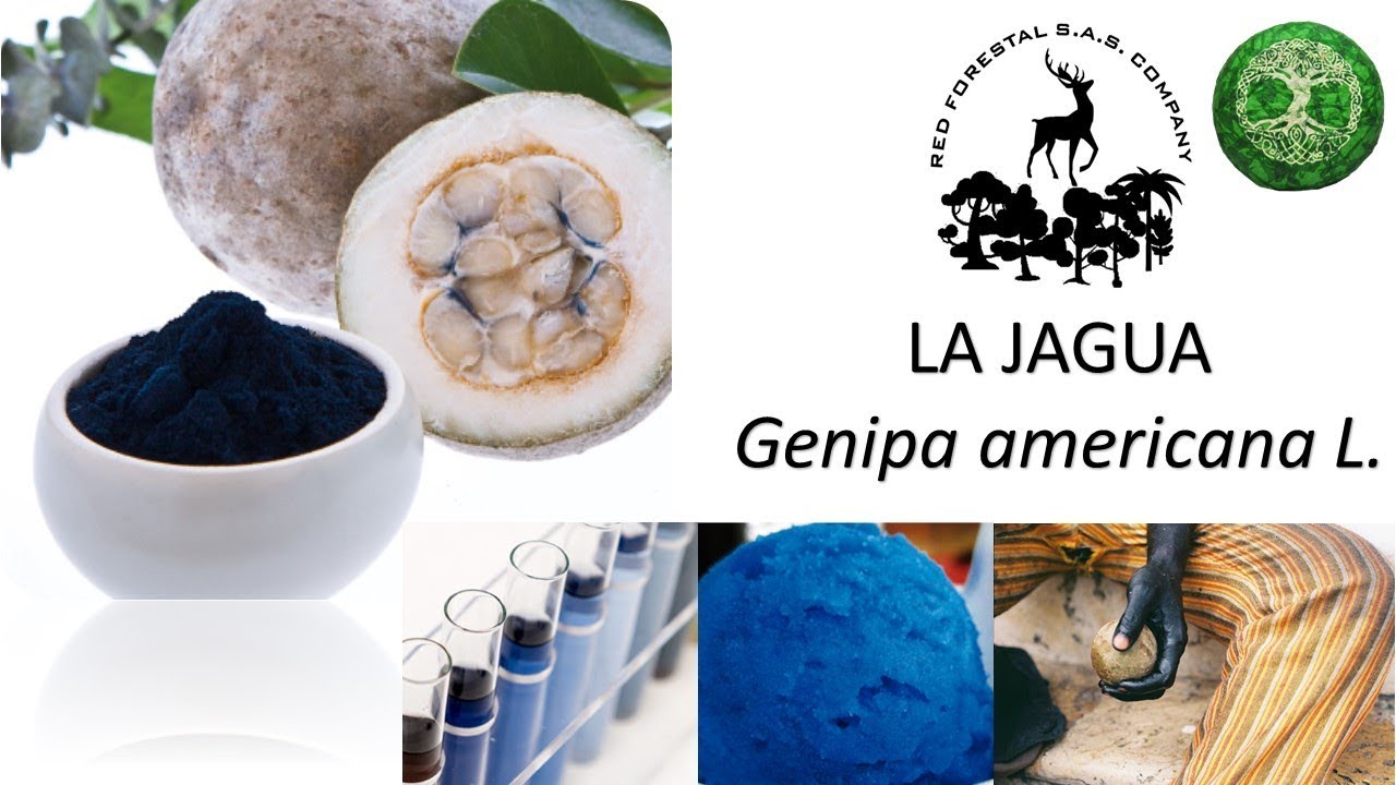 LA JAGUA - Casanare - Colombia