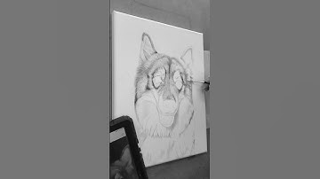 the beginning of Koda 🤍 11" x 14" charcoal on canvas #husky #dog #dogportrait #charcoal #huskylove