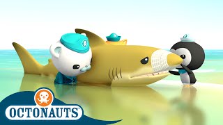 @Octonauts - The Brave Lemon Shark | Full Episode 42 | Cartoons for Kids | Underwater Sea Education