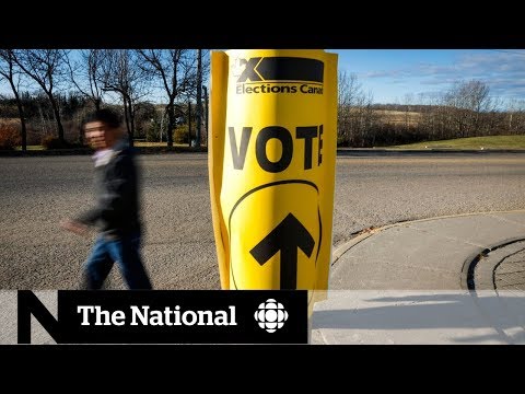 How voter turnout