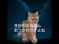 公開した性別適合手術～みたいなネタぜひみてね#猫ミーム #癒し #lgbt #short #shorts
