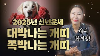 2025년 개띠신년운세🐶 대박나는개띠 vs 쪽박나는개띠/일산용한점집 [더샤머니즘]