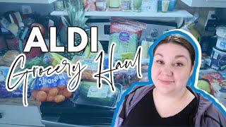 LARGE 1WEEK ALDI HAUL | Meal Plan & Grocery Haul | MARCH 2024