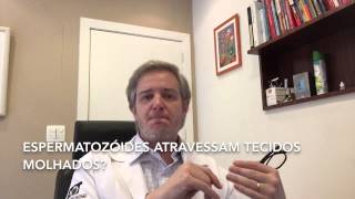 Espermatozóides Podem Atravessar Tecidos Ii- A Continuação