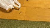 こ これは Youtube こ これは Youtube