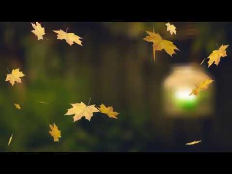 Background Loop Hd Falling Autumn Leaves Youtube