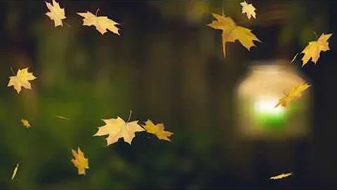 Background Loop HD - Falling Autumn Leaves