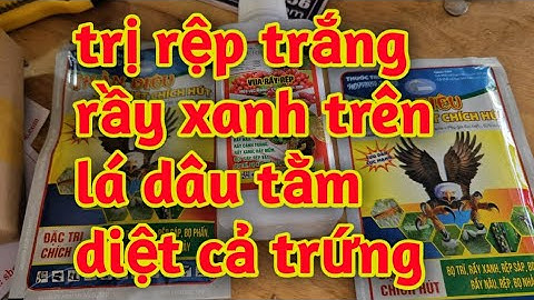 thuốc đặc trị rầy xanh rệp trắng trên lá dâu tằm diệt cả trứng sâu rầy 023 1812