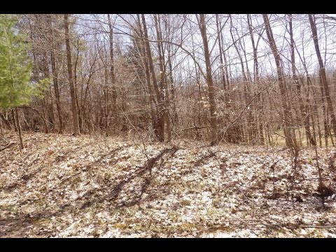23042 Miramichi Drive, Evart, MI home video tour