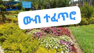 Masekrem Kassa is liveኑኑ