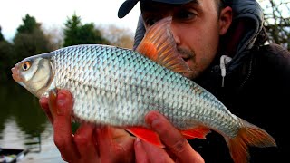 WINTER ROACH FISHING & NEW PB ROACH