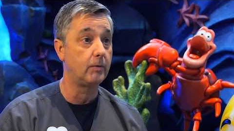 AdventHealth - Our nurturing environment for new graduate nurses