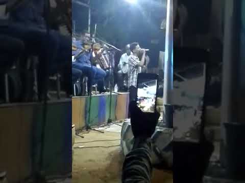 علاءالدين دولي م بلومكم