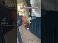 Who’s the professional?👨‍🎨🫟#shorts #trending #diy #subscribe #video #shortsfeed #shorts #viral