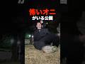 得意な人だけ見てください！夜中に見たら大人でもビビる『鬼がいる公園』　#検証 #tiktok #実験 #やってみた #公園 #都市伝説 #日常vlog #vlog