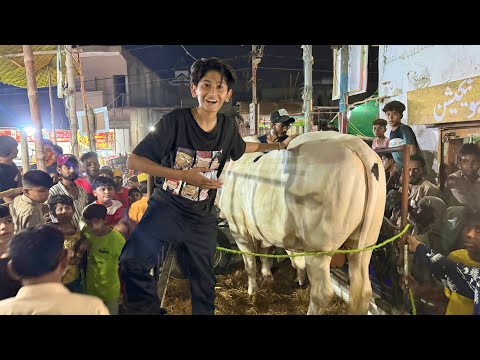 Bought my Cow Prank on my Friend & Public😱Unloading my Cow🐄