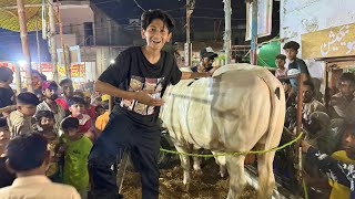 Bought my Cow Prank on my Friend & PublicUnloading my Cow