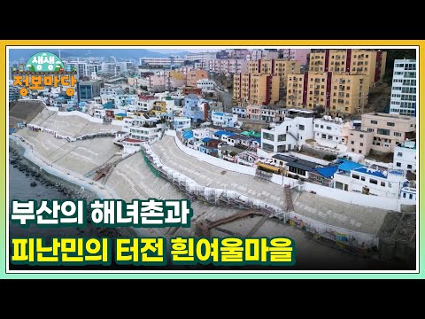 부산의 해녀촌과 <strong>피난민의</strong> 터전 흰여울마을 MBN 250331 방송
