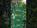 HOW GREAT YOU ARE @Rejoice. Great Grace.
