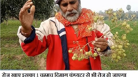 दिमाग को कंप्यूटर से भी तेज, याददाश्त बढ़ाने के सबसे आसान, कारगर तरीके, How to Increase Memory Power