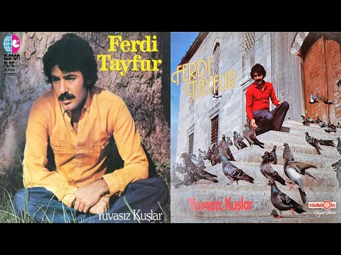 FERDİ TAYFUR - GELİNMİ OLUYORSUN (1980)